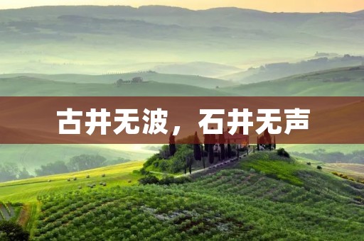 古井无波,石井无声:揭秘面色苍白的身体警示信号