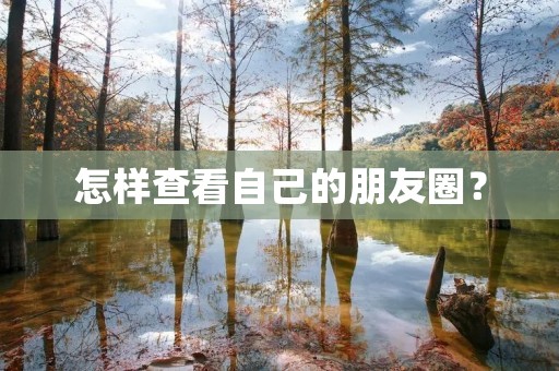 怎样查看自己的朋友圈? 怎样查看自己的朋友圈?