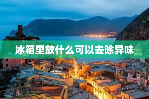 冰箱里放什么可以去除异味 冰箱里放什么可以去除异味