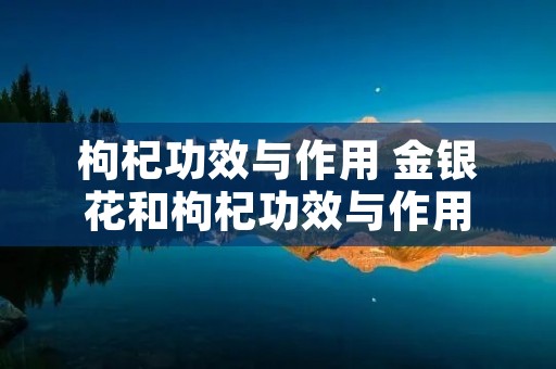 枸杞功效与作用 金银花和枸杞功效与作用