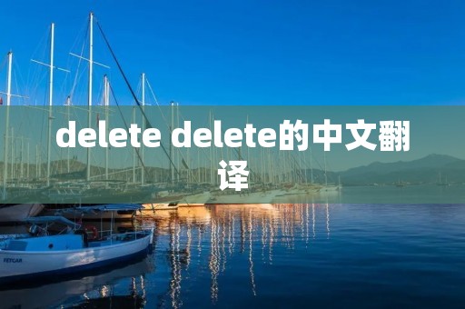 delete delete的中文翻译