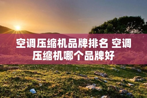 空调压缩机品牌排名 空调压缩机哪个品牌好