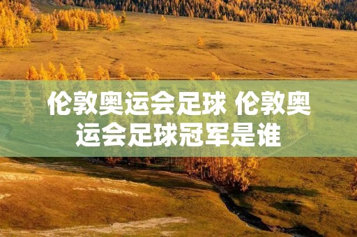 伦敦奥运会足球 伦敦奥运会足球冠军是谁