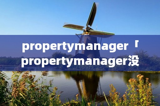 propertymanager「propertymanager没有选择链」 propertymanager「propertymanager没有选择链」