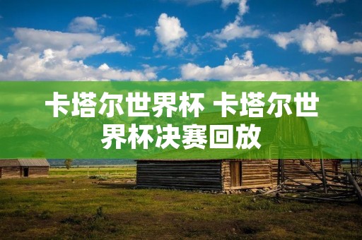 卡塔尔世界杯 卡塔尔世界杯决赛回放