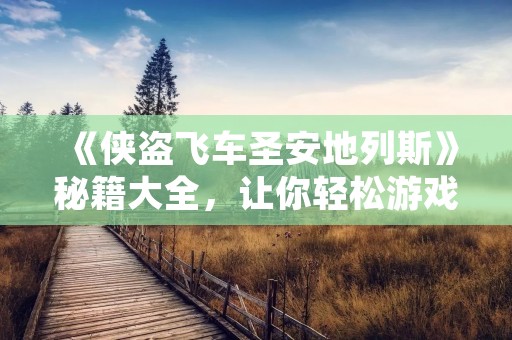 《侠盗飞车圣安地列斯》秘籍大全,让你轻松游戏!