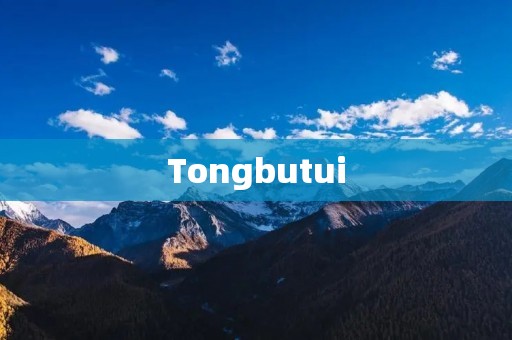 Tongbutui：一款高效便捷的文件传输工具