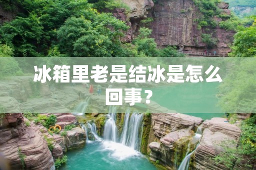 冰箱里老是结冰是怎么回事? 冰箱里老是结冰是怎么回事?