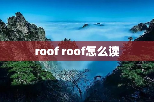 roof roof怎么读 roof roof怎么读