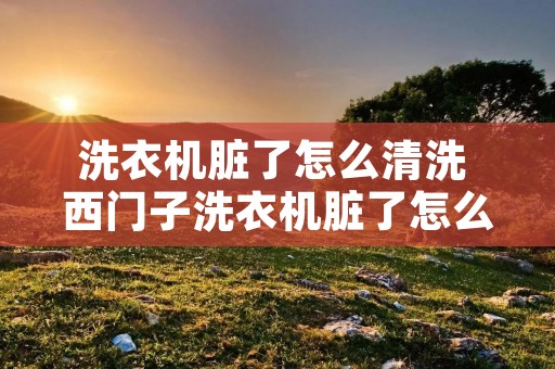 洗衣机脏了怎么清洗 西门子洗衣机脏了怎么清洗