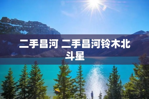 二手昌河 二手昌河铃木北斗星