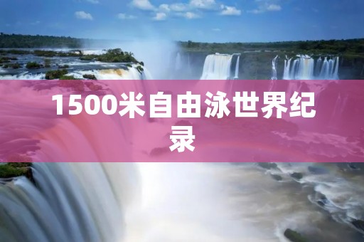 1500米自由泳世界纪录:挑战极限的壮举