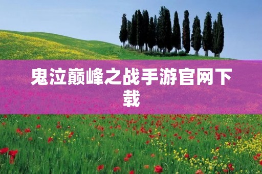 鬼泣巅峰之战手游官网下载：打造极致战斗体验