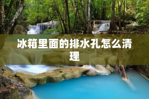 冰箱里面的排水孔怎么清理 冰箱里面的排水孔怎么清理