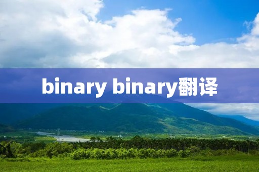 binary binary翻译 binary binary翻译