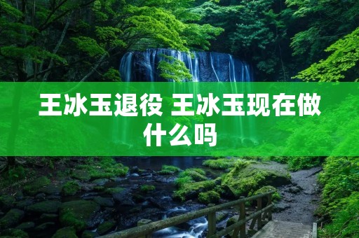 王冰玉退役 王冰玉现在做什么吗