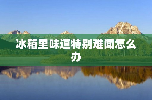 冰箱里味道特别难闻怎么办：有效清除冰箱异味的方法