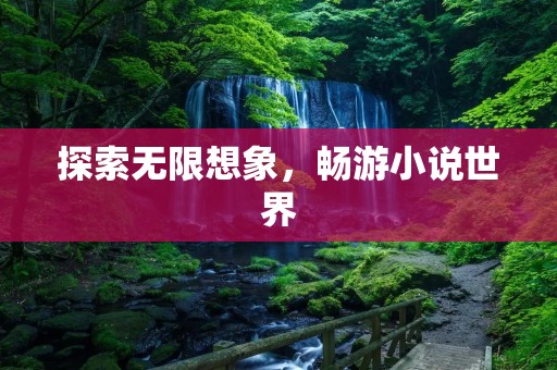 探索无限想象,畅游小说世界 探索无限想象,畅游小说世界