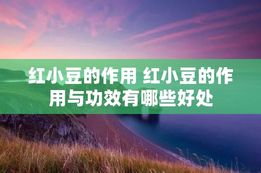 红小豆的作用 红小豆的作用与功效有哪些好处