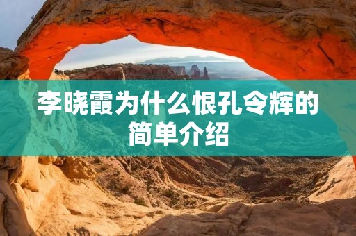 李晓霞为什么恨孔令辉的简单介绍