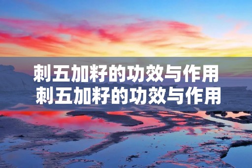 刺五加籽的功效与作用 刺五加籽的功效与作用及食用方法 刺五加籽的功效与作用 刺五加籽的功效与作用及食用方法