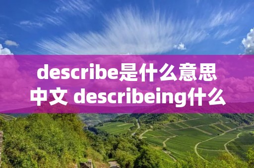describe是什么意思中文 describeing什么意思中文