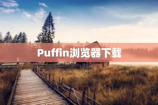 Puffin浏览器下载：提供快速、安全的网络浏览体验