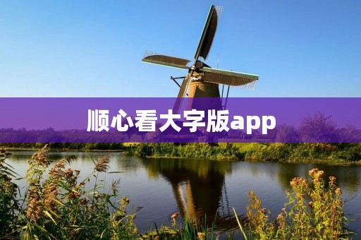 顺心看大字版app