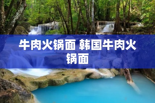 牛肉火锅面 韩国牛肉火锅面