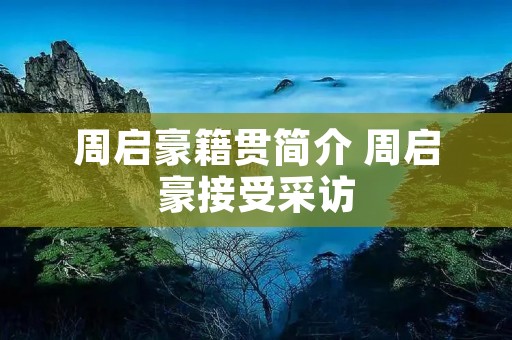 周启豪籍贯简介 周启豪接受采访