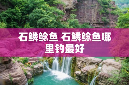 石鳞鲶鱼 石鳞鲶鱼哪里钓最好 石鳞鲶鱼 石鳞鲶鱼哪里钓最好