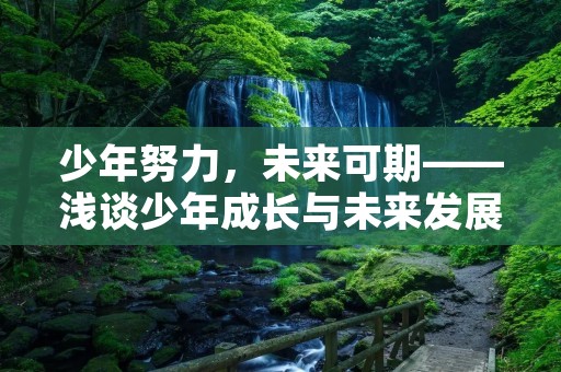 少年努力，未来可期——浅谈少年成长与未来发展