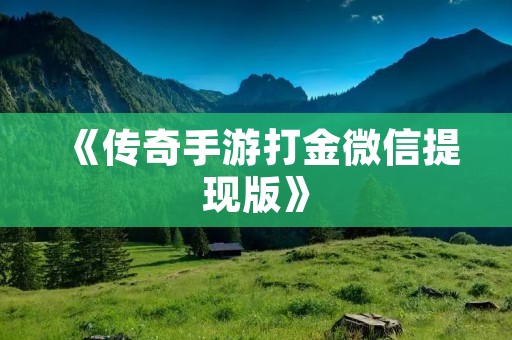 《传奇手游打金微信提现版》：轻松赚钱，玩游戏也能变现！