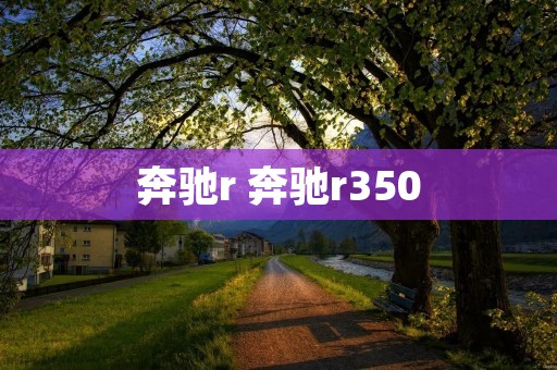 奔驰r 奔驰r350