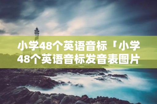小学48个英语音标「小学48个英语音标发音表图片」