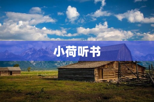 小荷听书:打开智慧与想象的大门 小荷听书:打开智慧与想象的大门