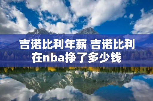 吉诺比利年薪 吉诺比利在nba挣了多少钱