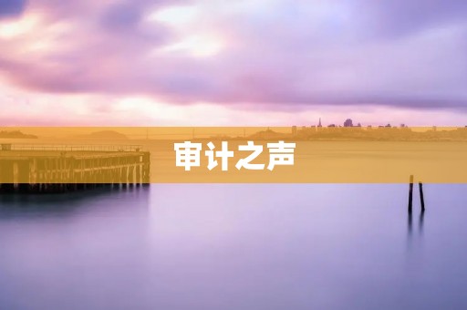 审计之声：揭开企业内部的黑幕与风险