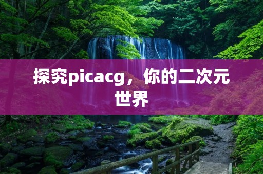 探究picacg,你的二次元世界 探究picacg,你的二次元世界