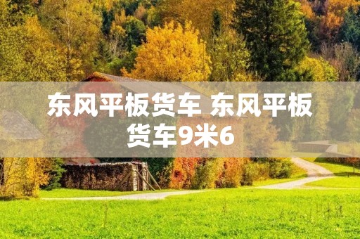 东风平板货车 东风平板货车9米6 东风平板货车 东风平板货车9米6