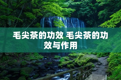 毛尖茶的功效 毛尖茶的功效与作用