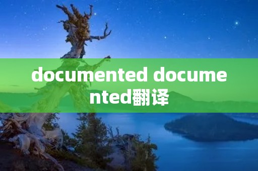 documented documented翻译