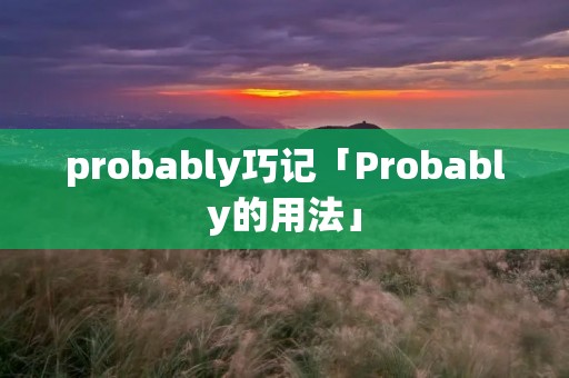 probably巧记「Probably的用法」