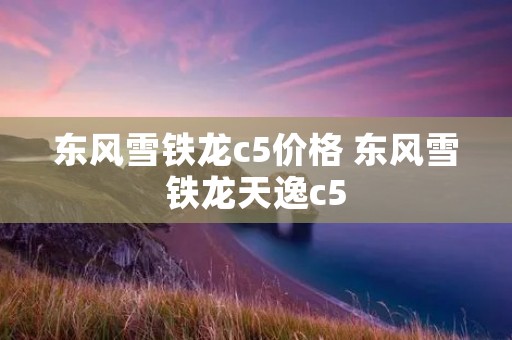 东风雪铁龙c5价格 东风雪铁龙天逸c5
