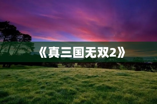 《真三国无双2》：打造最真实的三国战场体验