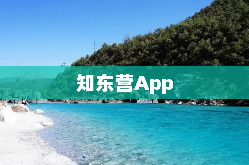 知东营App：畅享生活，尽在指尖