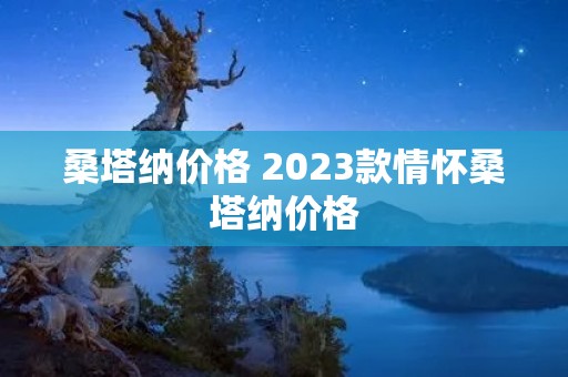 桑塔纳价格 2023款情怀桑塔纳价格