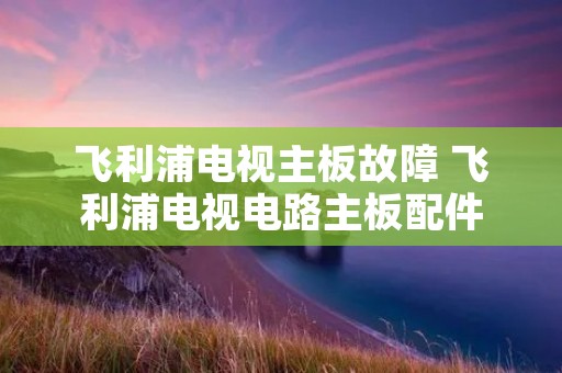 飞利浦电视主板故障 飞利浦电视电路主板配件