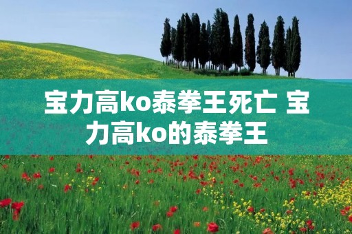 宝力高ko泰拳王死亡 宝力高ko的泰拳王 宝力高ko泰拳王死亡 宝力高ko的泰拳王