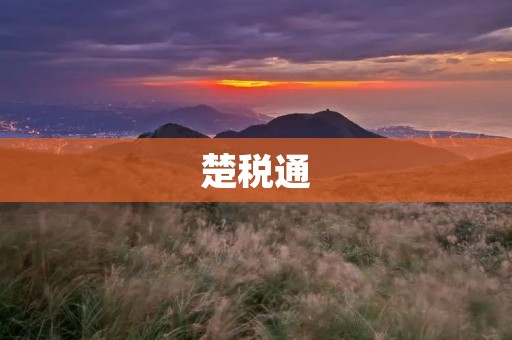 楚税通：打造智慧税务新时代